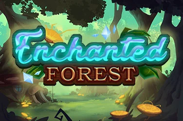 Enchanted Forest
