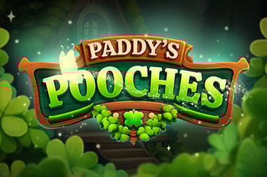 Paddy's Pooches