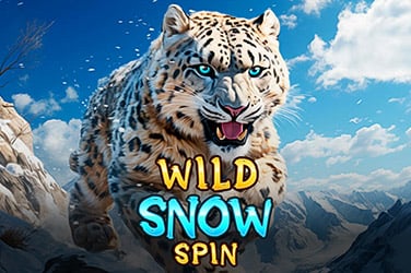 Wild Snow Spin